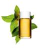 Massage & Wellness – Massageöle