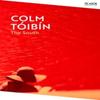 The South by Colm Toibin Paperback Book 9781035029518