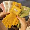 Korean Version of Knitted Women's Cold-proof Thickened Candy Color Labeling Cycling Fingers