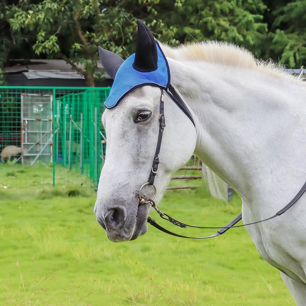 Horse Ears Cover Breathable Mesh Horse Earmuffs Horse Ear Mesh Cover, Breathable Horse Ears Protections Shield Supplies