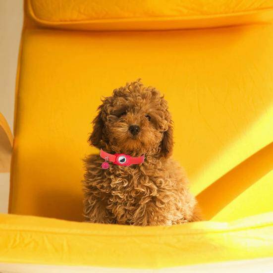 Pet Positioning Collar Crisp Bell Faux Leather Pet Tracking Device Protective Collar for Apple