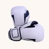 Professional Boxing & Training Gloves