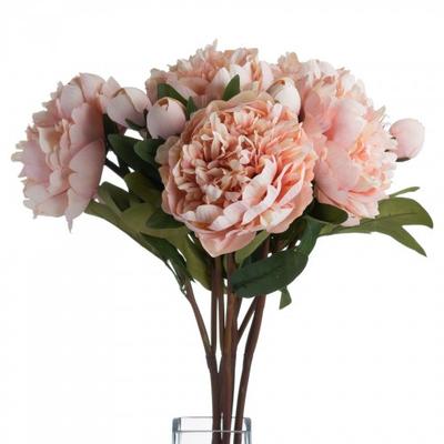 Faux-Pfirsich-Pfingstrosen-Rosa