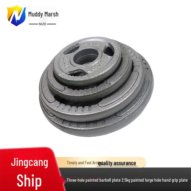 Nize Three-Hole Baked Paint Barbell Weight Plate