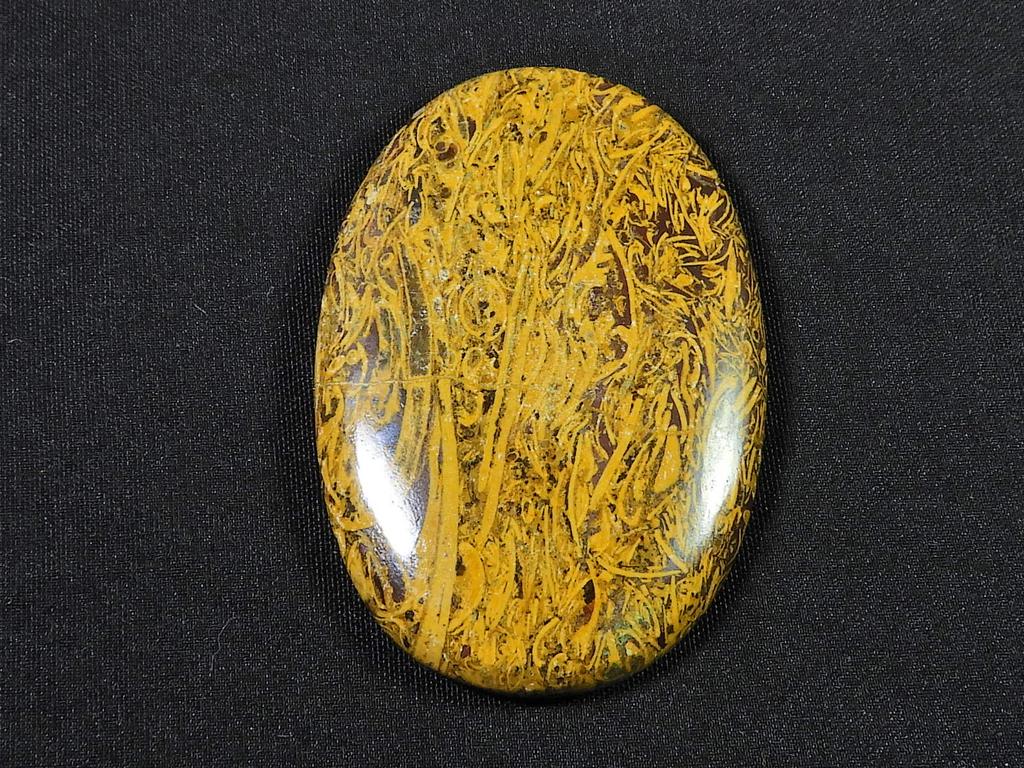 72Cts?AAA Natural Marium Fossil Multi Color Healing Rare Gemstone 31X46X5 MM SK-1094