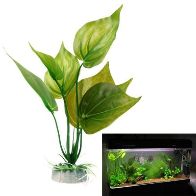 Vissen en zeedieren – Aquarium decoratie