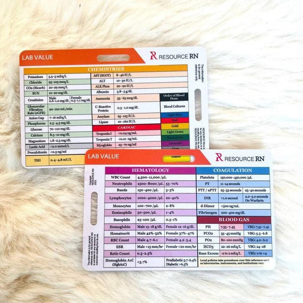 Rhythm Pocket Reference Card For Teaching Practicing Music Enthusiasts Portable Designs With Clear Marking Easy Reading