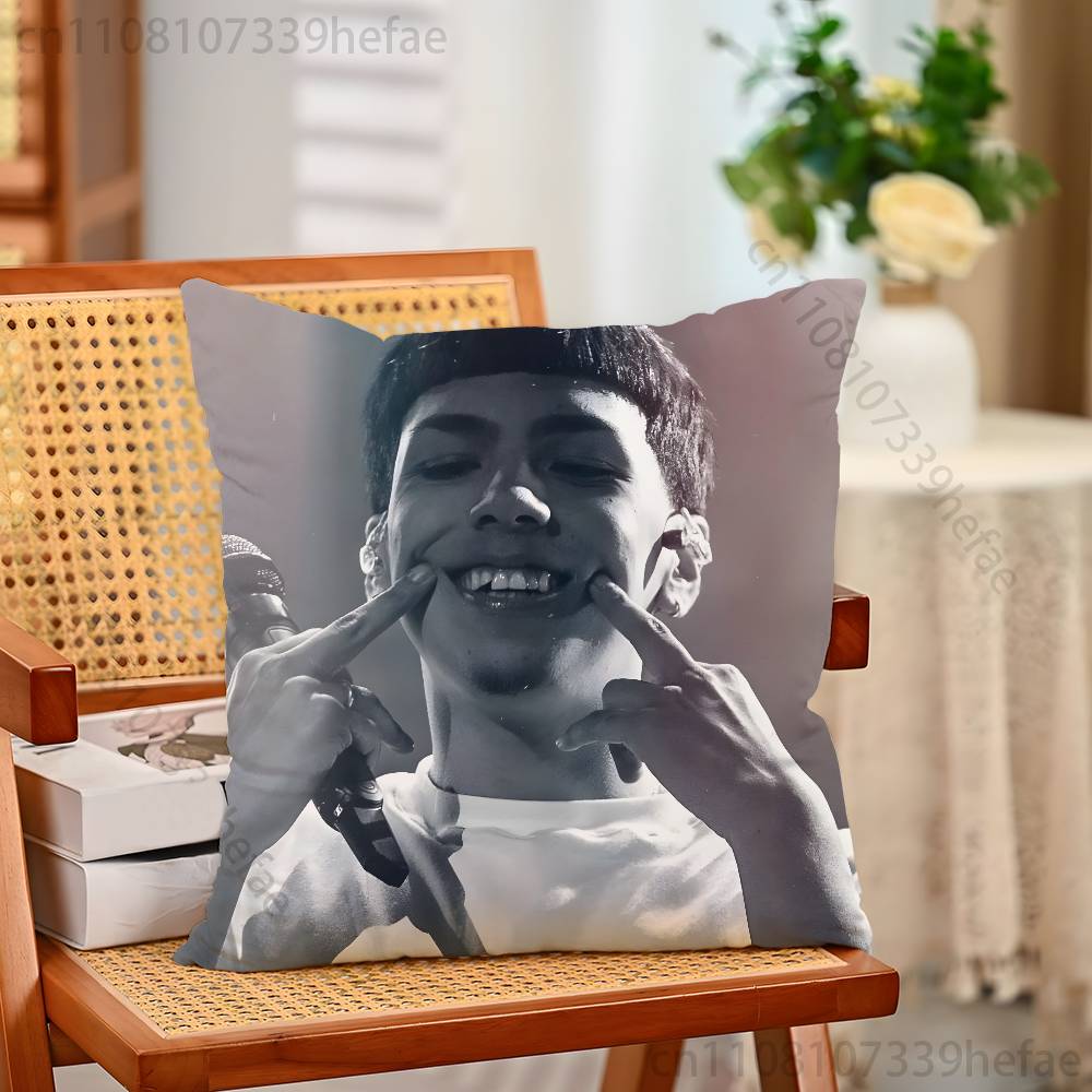MMilo J 111 Singer Print Polyester Pillow Case for Valentine gift Home Sofa Cushion Cover Decoration Custom