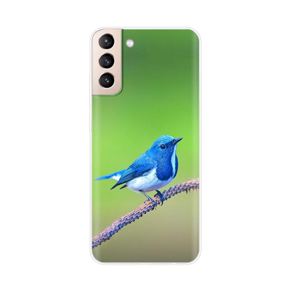 Mobile Phone Bag Case For Samsung Galaxy S21 Silicone Back Cover For Samsung S21 plus s 21 GalaxyS21 S21 FE S21Ultra Cases Capas