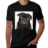 Black Pug Tshirt Quick Dry Training Short Sleeve Tee Tshirt