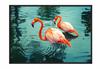 Picture Poster In a Frame 43x33 Cm Flamingo P666