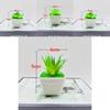 Synthetic Multiplant Bonsai With Pvc For Home Office Decoration And Gift