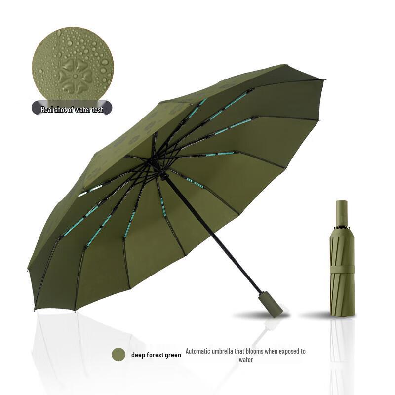 

Shiguangxia Magic Bloom 12-Rib Auto Open/Close Folding Umbrella