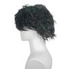 New Black Rain Silk Wig Synthetic Shiny Short Hair for Men Daily Costume Party Halloween Gifts