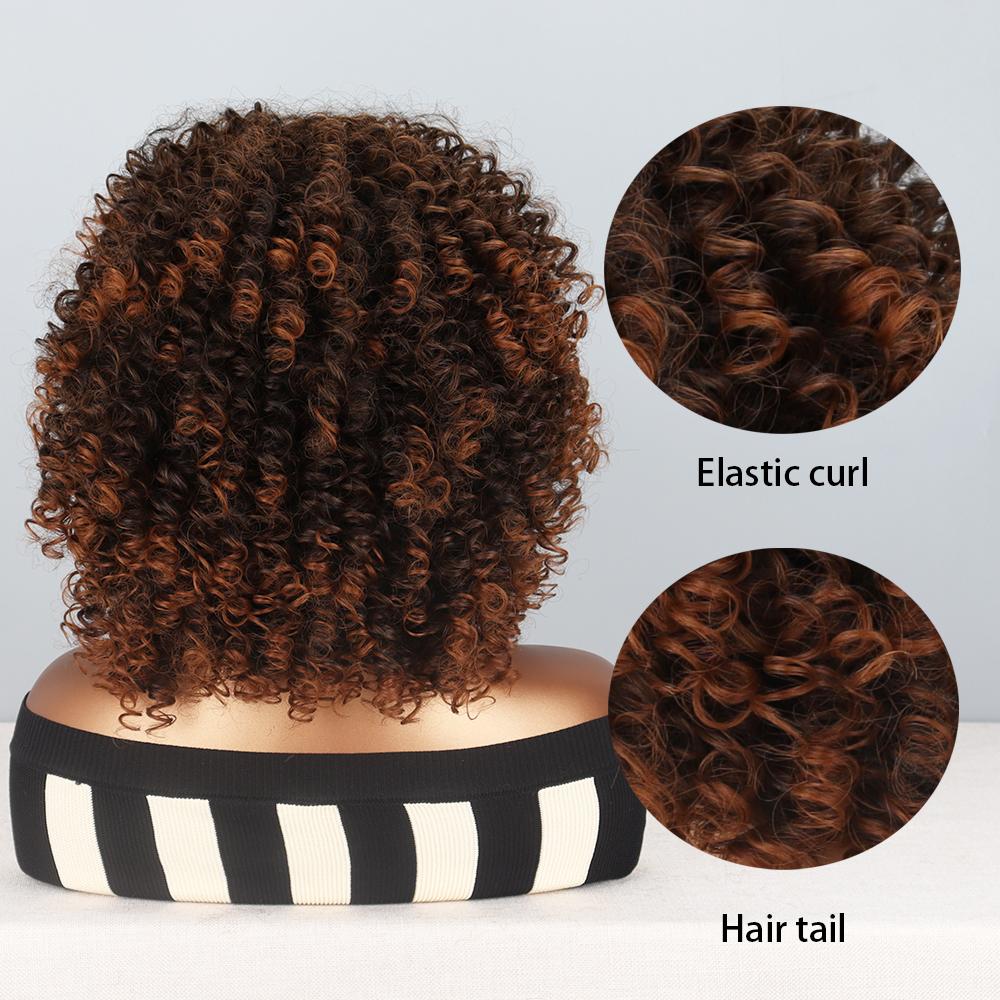 LISI HAIR Afro Women Short Brown Wig Synthetic Fiber Curly Hair Wigs for Women Fluffy Ombre Hairstyle Party Regular Curly Wig