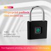 Smart Fingerprint Padlock Waterproof Zinc Alloy Biometric Padlocks With Buit-in Rechargeable Battery USB Charge