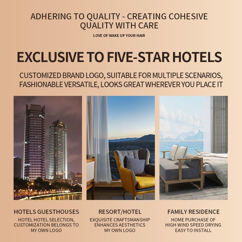 2000W Low Noise High Speed Wall Mounted Hair Dryer Suitable for Hotel and Home Use