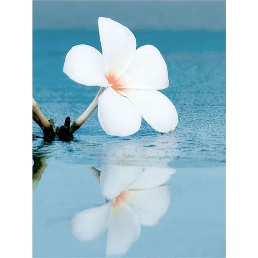 Diamond Painting Full Drill White Wolf Flower Animal Diamond Painting Handmade Art Landscape Diy Diamond Mosaic Painting Home Decoration