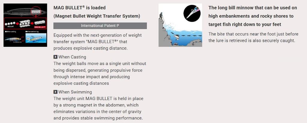 Yo Zuri Duel Hardcore Bullet Fast 100 mm Sinking Lure F1242-HZLS (2842)