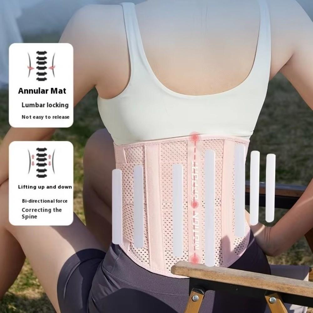 Curve Shape Waist Protection Belt High Elastic Lumbar Support Belt New Training Sweat Belt