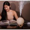 880ml Moon Humidifier Essential Oil Diffuser Air Purifier Ultrasonic Mist Humidifier For Home&Office