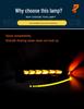 Geely Binyue/Proton X50 Rearview Mirror Dynamic Turn Signal Light