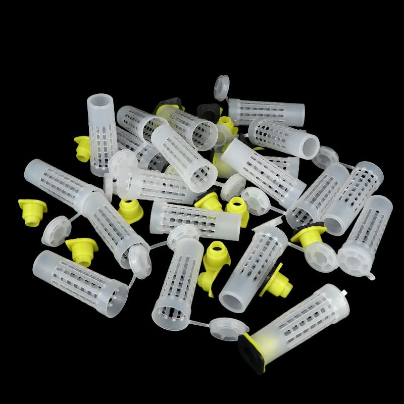 Reliable 20Pcs Queen Bee Protection Cage Beekeeepers Essential Rearing Kit