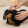 Dachshund Plush Toy, Realistic Dog Doll, Birthday Gift, Plush Toy