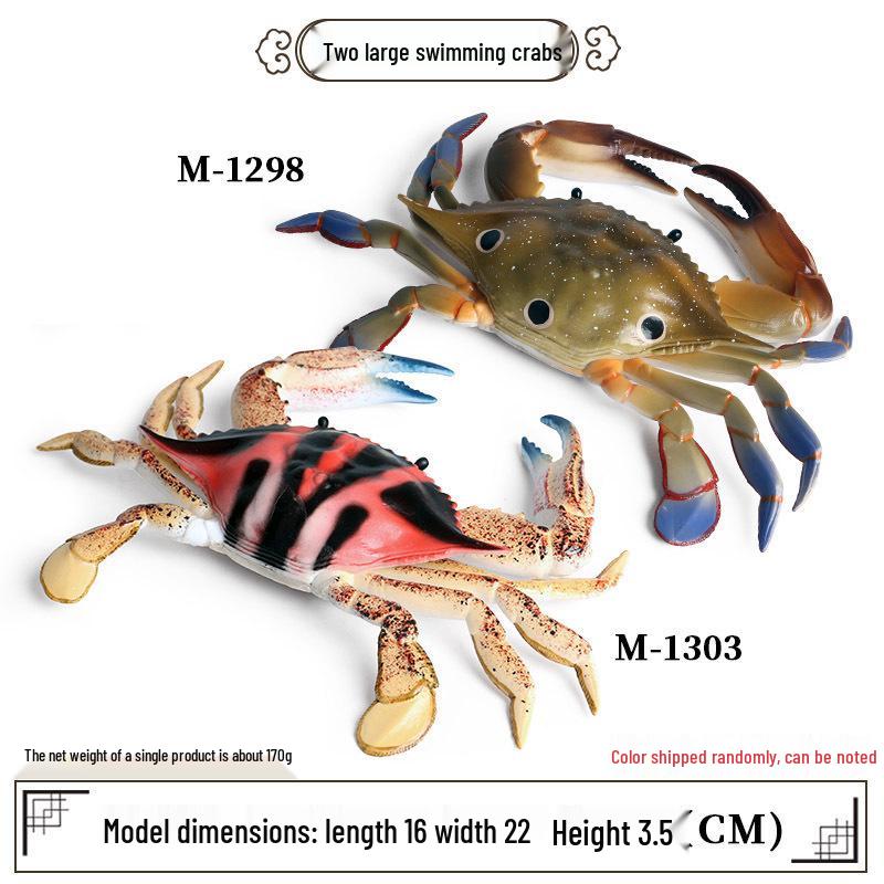 Marine Animal Simulation Model Figures: Shark, Dolphin, Hammerhead, Crab, Squid, Starfish for Kids' Education