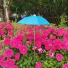 Plant & Flower Shade: Retractable Outdoor Stainless Steel Umbrella for Succulents, Bonsai, and Potted Plants.