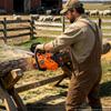 VEVOR Gas Powered Chainsaw 304.8 mm 25.4CC 0.75kW 2 Stroke Engine Chainsaw, for Wood Cutting, Tree Trimming & Land Clearing