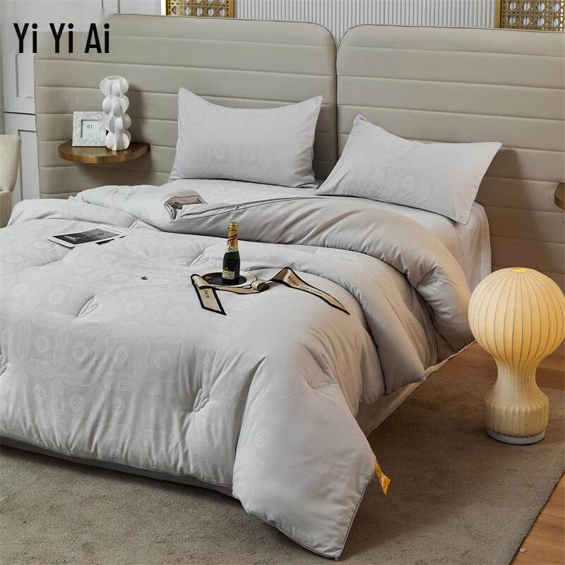 YIYIAI Brushed Jacquard Soy Winter Quilt