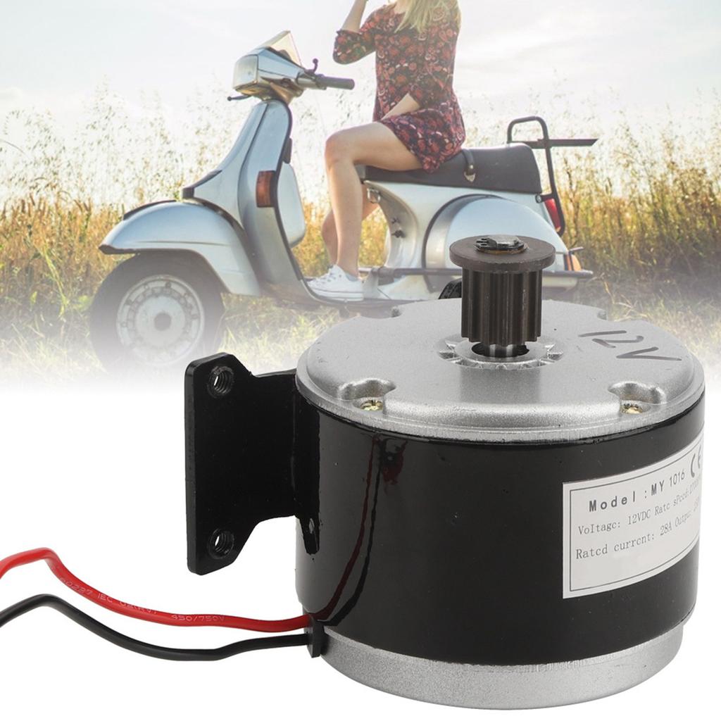 12V 250W Synchronous Wheel Mechanical Power Motor for Electric Scooter Electric Bike