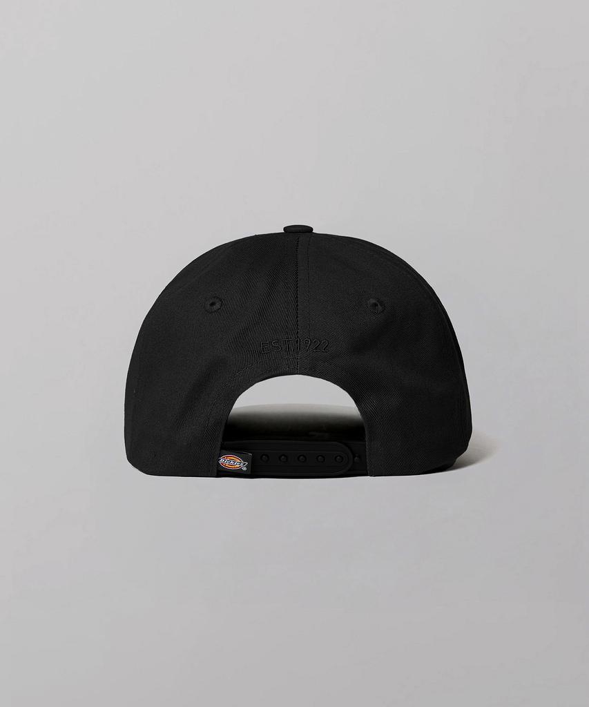 DICKIES Hardwick Ball Cap Black