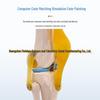 1:1 Human Skeletal Joint Models: Knee, Shoulder, Elbow, Hand, Foot, Hip