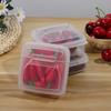 Organizer Case Fruit Vegetable Storage Box Fridge Butter Container Cheese Slice Storage Box