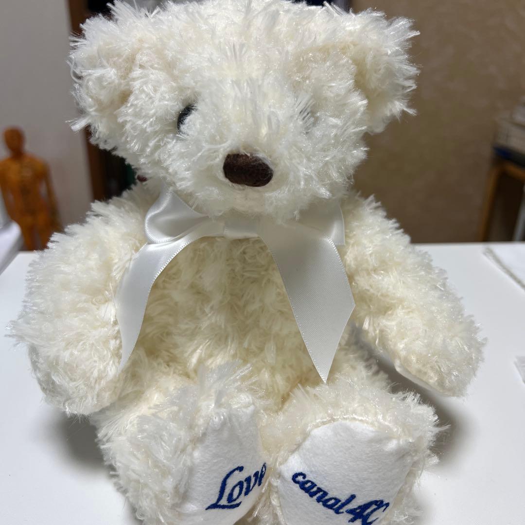 Unused itemWhite bear stuffed toy