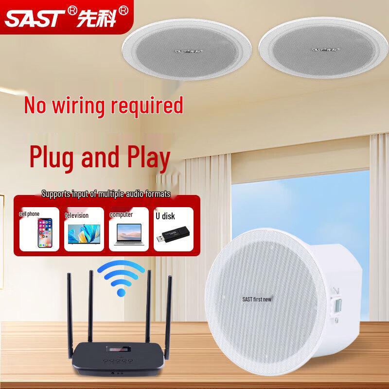 SAST YY-U4 Wireless Bluetooth Ceiling Speaker System CN plug (adapter included)