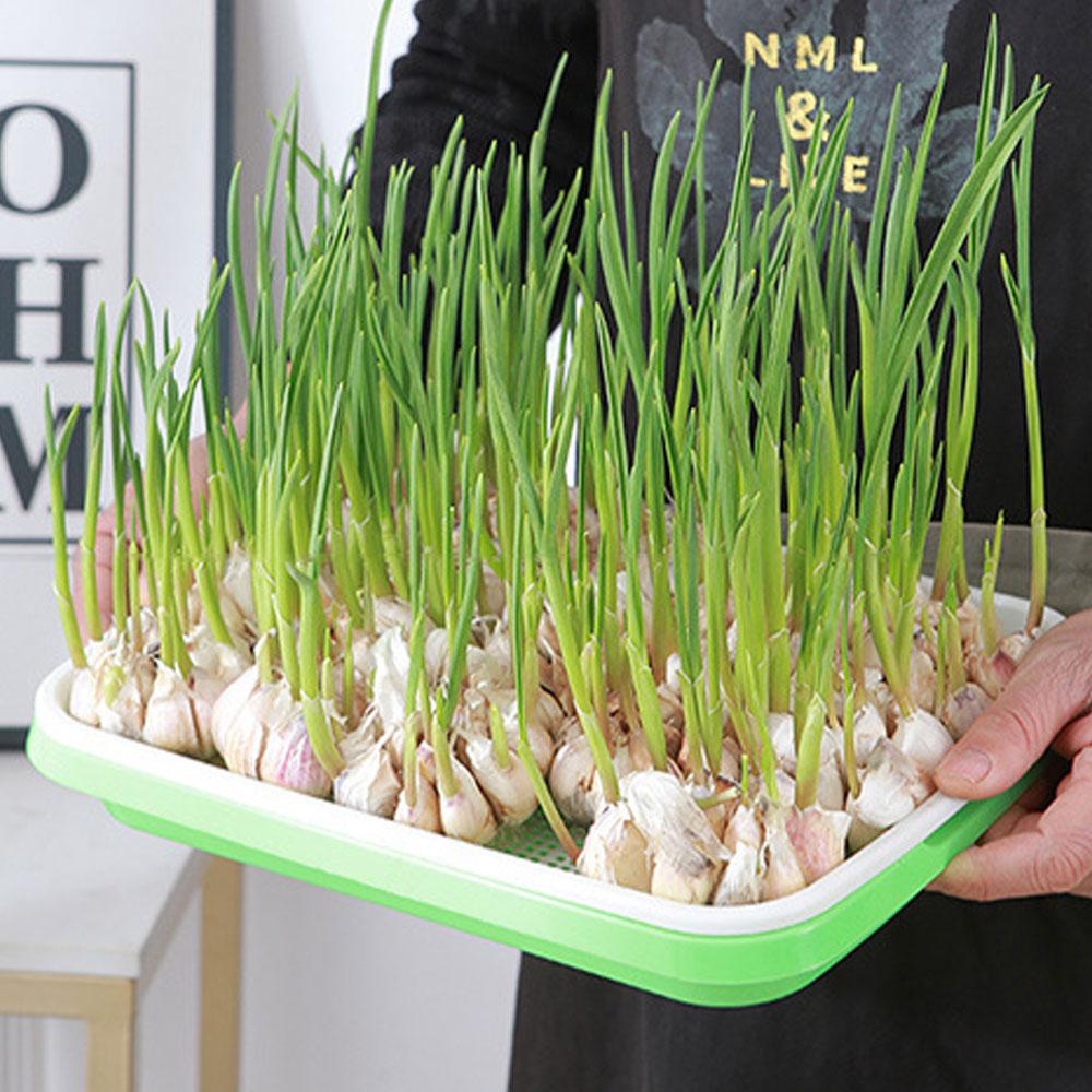 Microgreens Sprouter Tray Hydroponic / Sprouting Tray for Sprout Horticultural Hydroponic Systems Tray Garden Nursery Potted