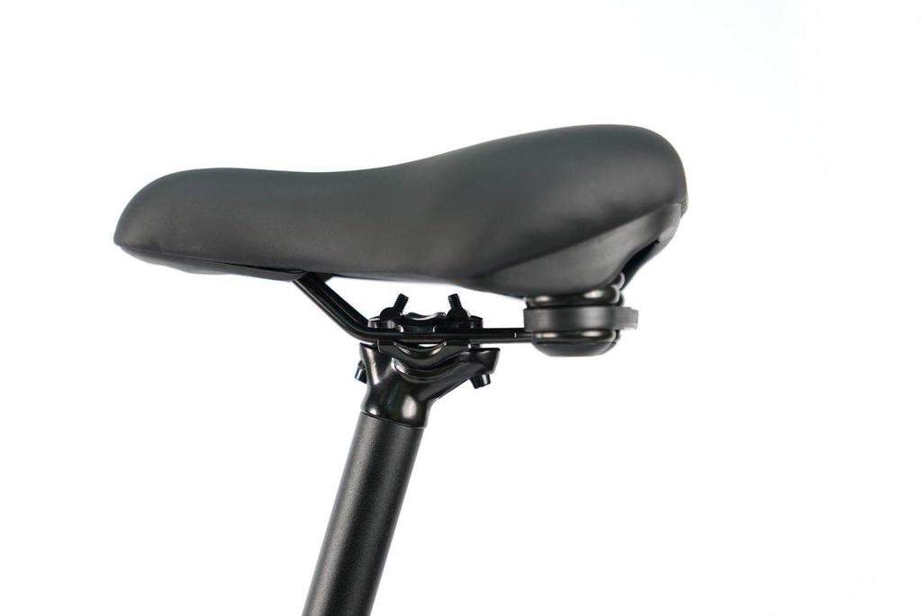 TTGO C3 SE Elektrofahrrad Erwachsene - 250W Hocheffizienter Bürstenloser Motor 36V 18Ah Akku Ideal für Stadtfahrten & Freizeittouren
