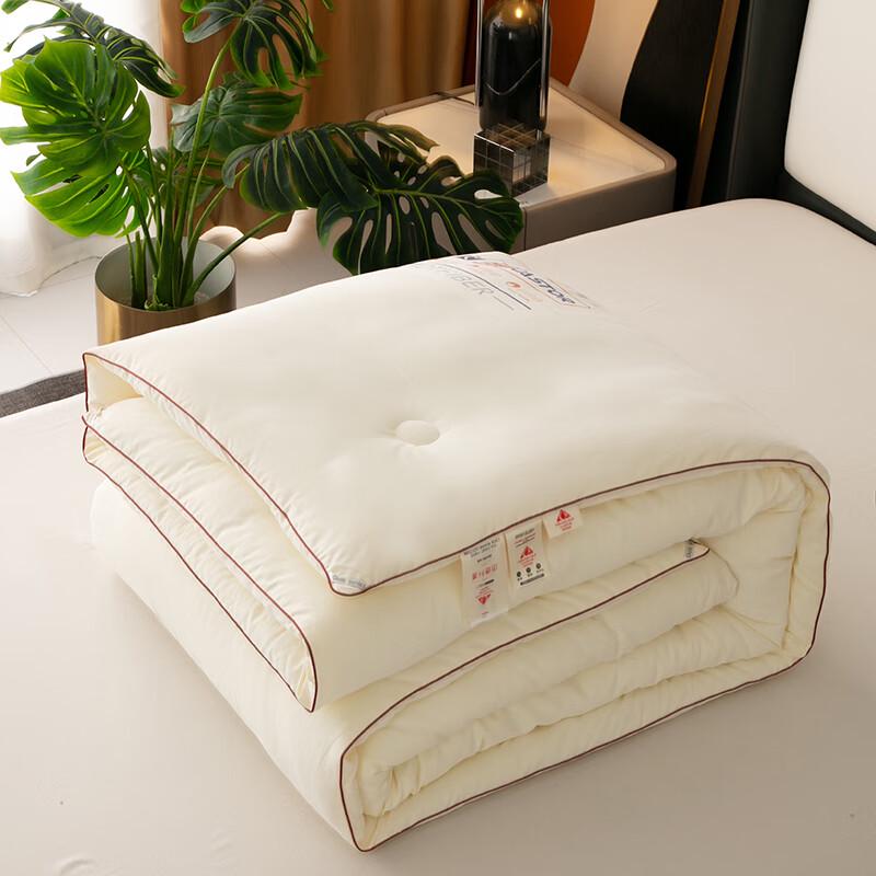 

Yalu Volcanic Rock Winter Warm Quilt