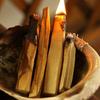 Reinigen weißer Salbei Bündel Spiritueller Trost Pflanze Gewürz Vertreiben negativer Energie Räucherstäbchen für Zuhause
