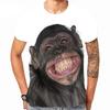 Summer Gorilla Monkey Graphic 3D Print Men T-Shirts Women T Shirt Short Sleeve Oversized Tee Top Women T-Shirt  T-Shirt Y2k