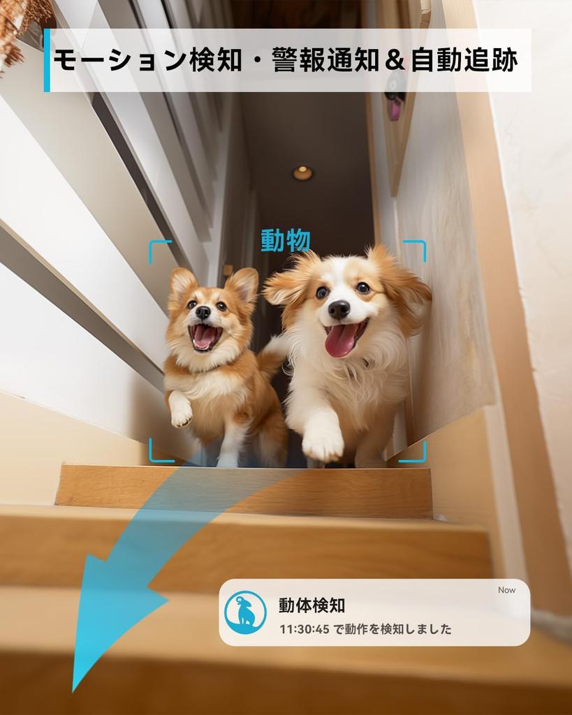 Of Full Color Night 3 Pet Surveillance Security Home Automatic Human PTZ Alarm Remote Compatible with Baby Surveillance Warranty [Set 2, Vision,