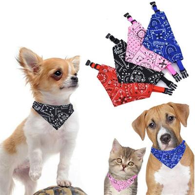 Giyim ve ayakkabı – Köpek Aksesuarları
