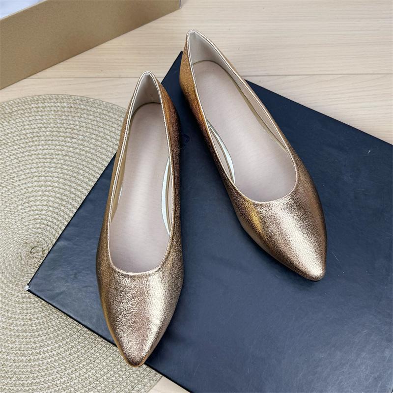 Fashion Flat Shoes for Women 2025 Spring and Autumn New Silver Women's Ladies Shoes Pointed Toe Plus Size Casual Women's Shoes