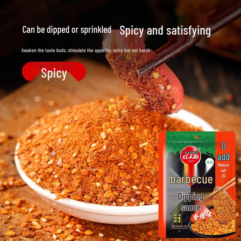 Qiqihar Spicy BBQ Seasoning & Dipping Sauce