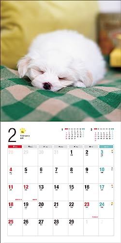 2024 Calendar Maltese (Seibundo Shinkosha Calendar)