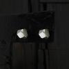 Sterlingworth Icy Mini-S2 Silver Earrings