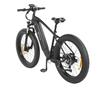 Bicicletă Electrică DYU KING 750 48V 750W - 110km Asistență la Pedalate, Viteză 45km/h & Roți 25" pentru Orice Teren